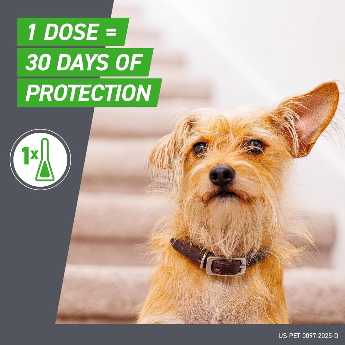 Frontline Plus Flea and Tick Treatment for Small Dogs Upto 5 to 22 lbs. 6 Treatments (Discount offer)